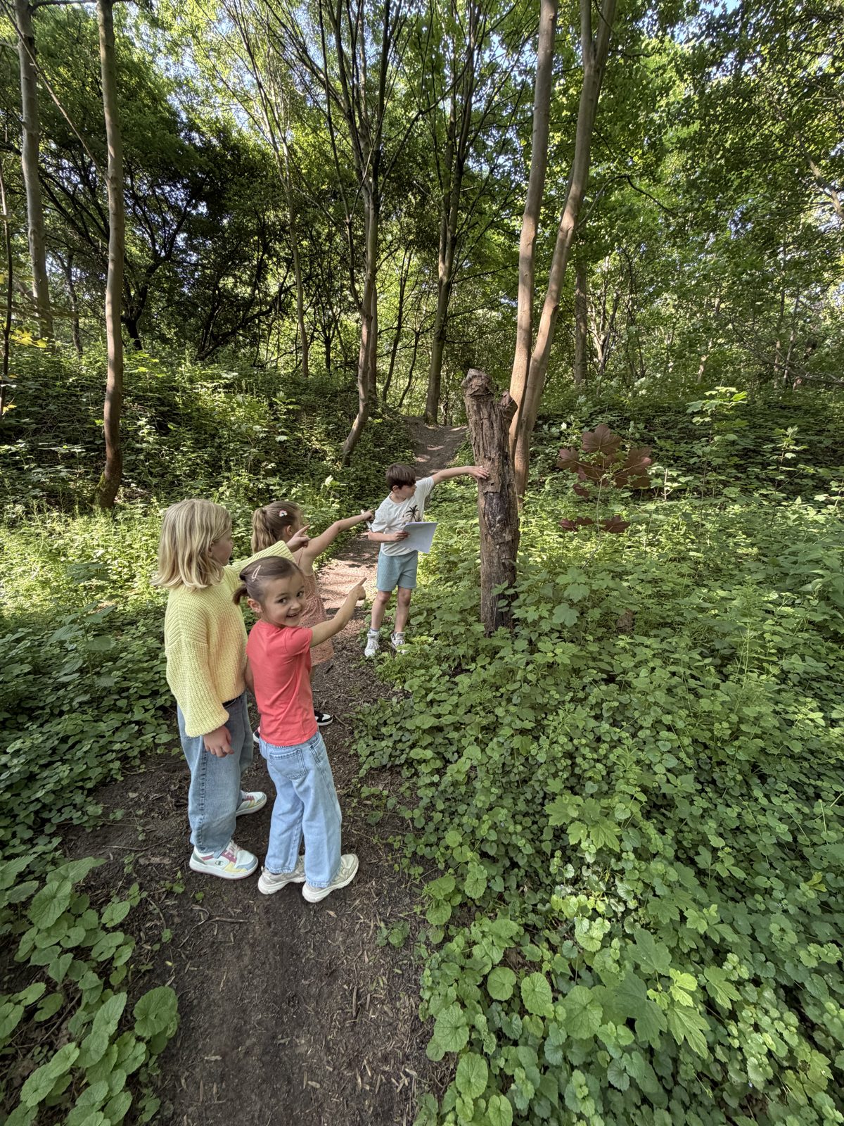 Een park in de buurt